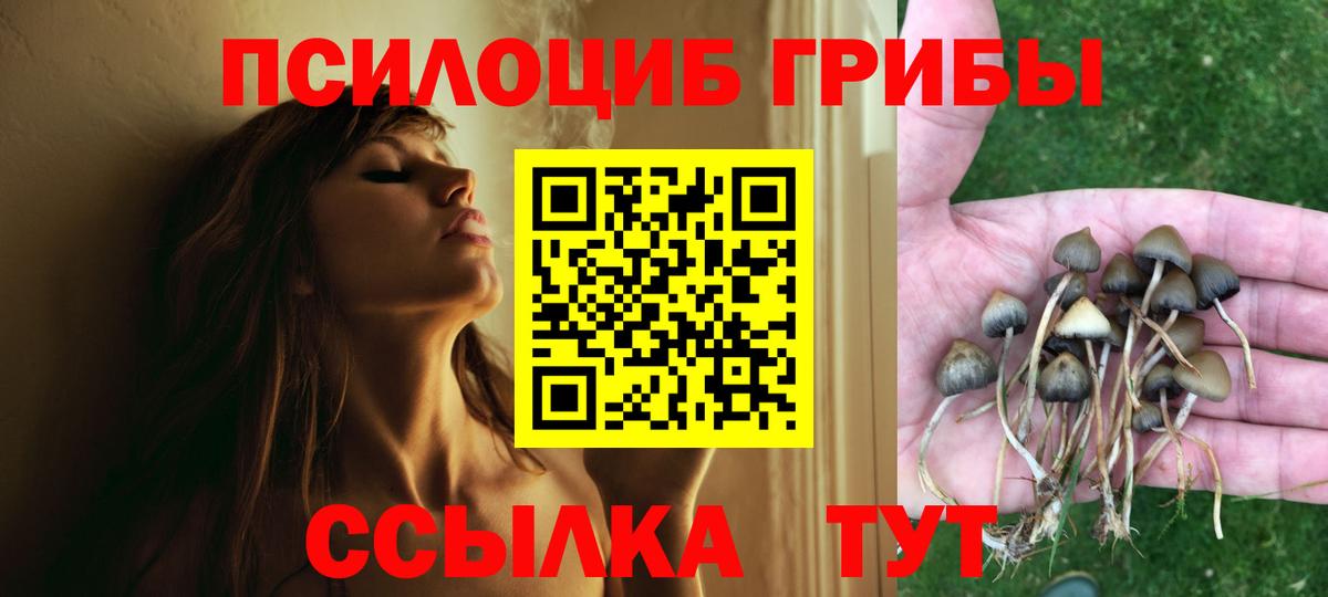 Псилоцибиновые грибы ЛСД Ялта